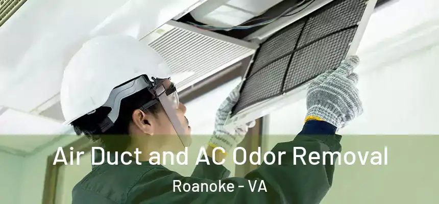Air Duct and AC Odor Removal Roanoke - VA