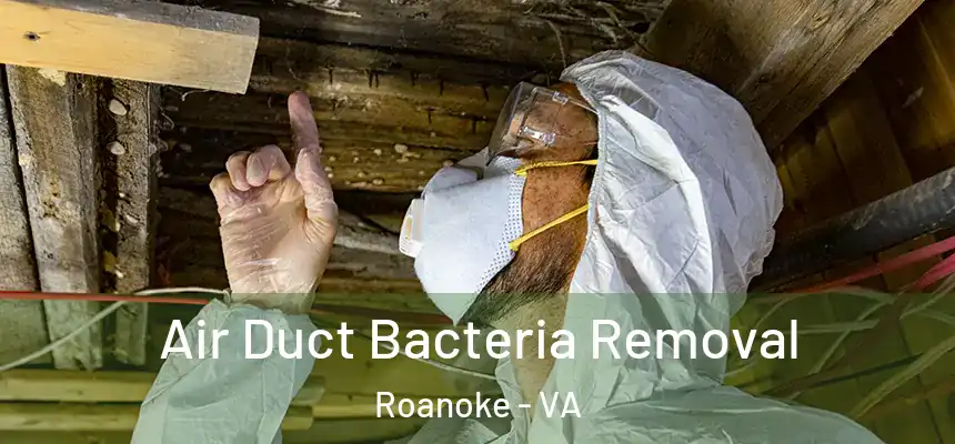 Air Duct Bacteria Removal Roanoke - VA