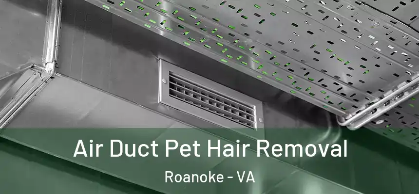 Air Duct Pet Hair Removal Roanoke - VA