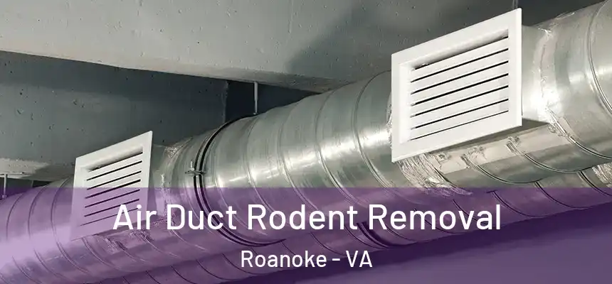Air Duct Rodent Removal Roanoke - VA