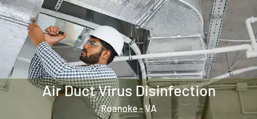  Air Duct Virus Disinfection Roanoke - VA