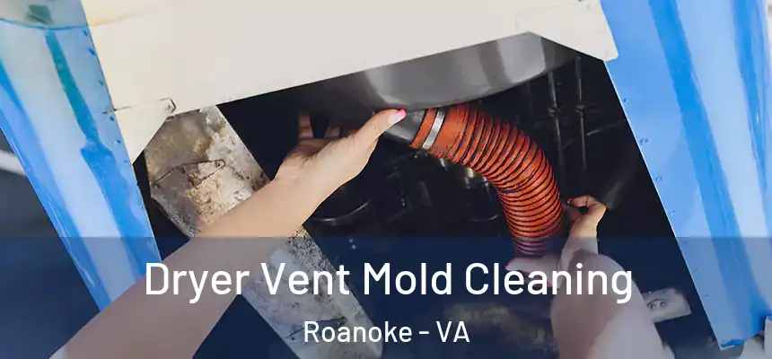 Dryer Vent Mold Cleaning Roanoke - VA