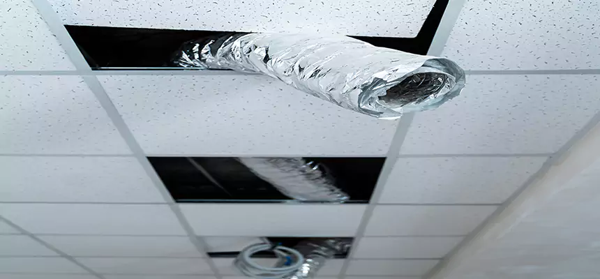 Our Air Duct Pet Hair Removal Services in Roanoke, VA