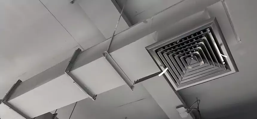 Our Rodent Droppings In Vents Services in Roanoke, VA