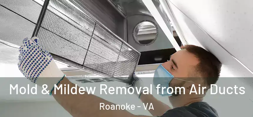  Mold & Mildew Removal from Air Ducts Roanoke - VA