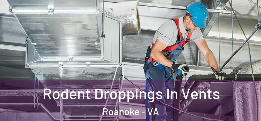  Rodent Droppings In Vents Roanoke - VA