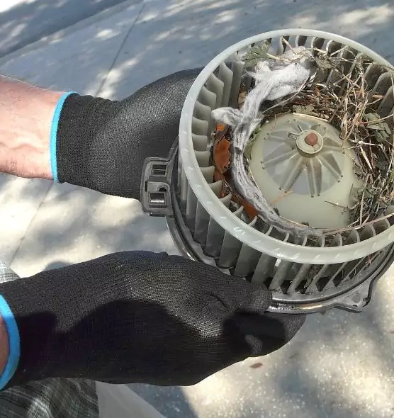 About Air Duct Mice Removal in Roanoke, VA