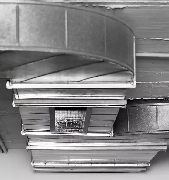 Professional Air Duct Pest Removal in Roanoke, VA