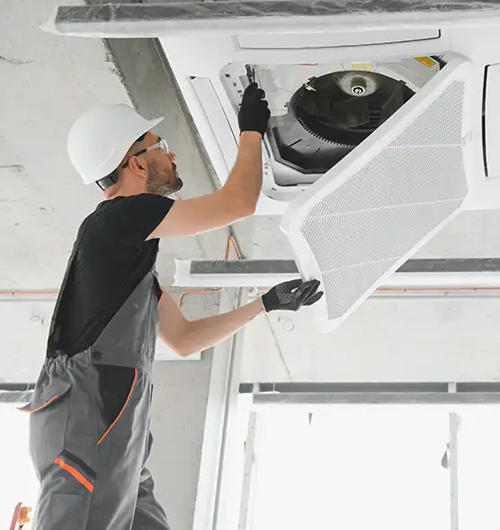 About Air Duct Rodent Removal in Roanoke, VA