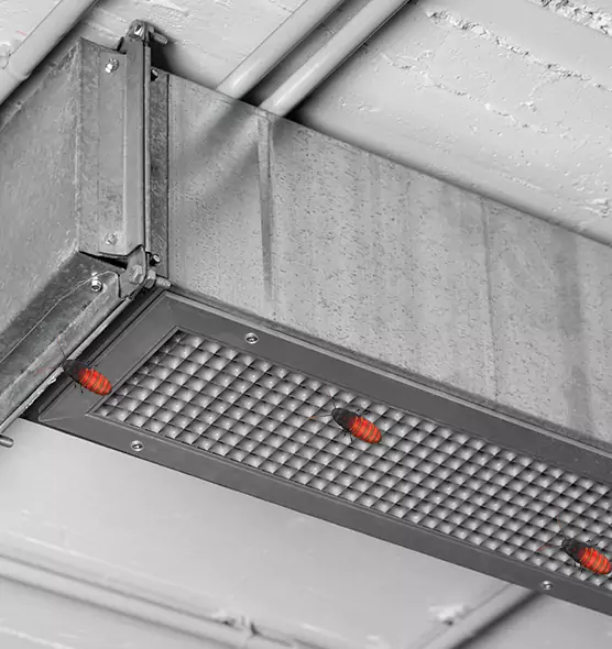 Affordable Insect Removal from Air Ducts in Roanoke, VA