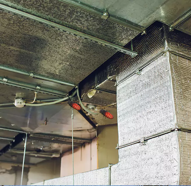 Why Homeowners & Businesses Trust Us in Roanoke, VA?