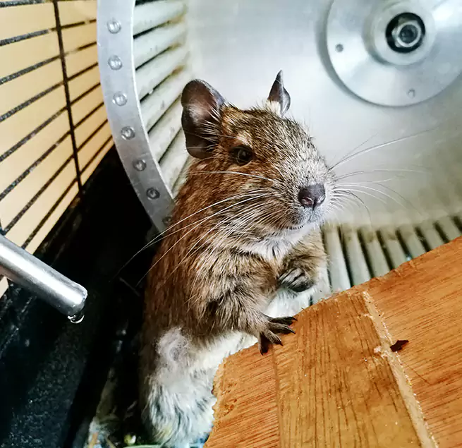 Why Homeowners & Businesses Trust Us Roanoke, VA