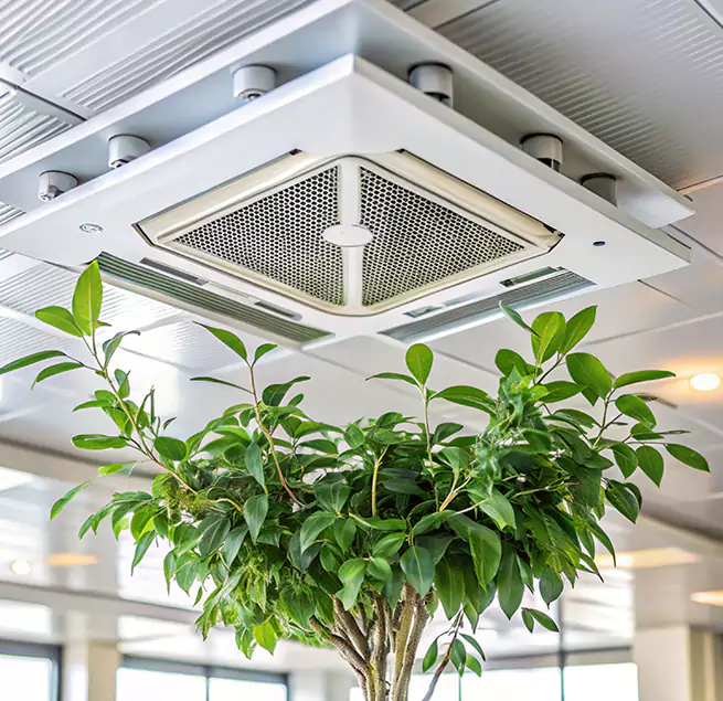 Why Homeowners & Businesses Trust Us in Roanoke, VA?